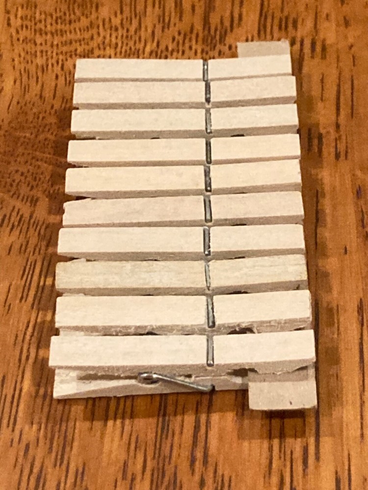 Small Wood & Spring Clothespins (10 pcs)