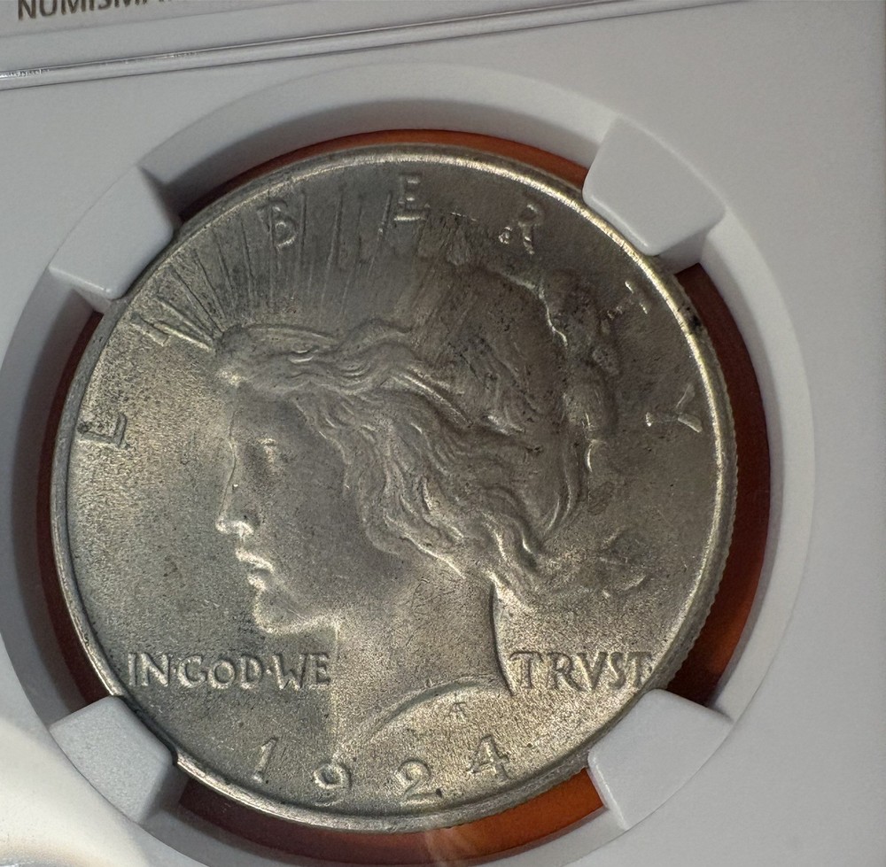 1924 Peace Silver Dollar NGC MS 65, Toned