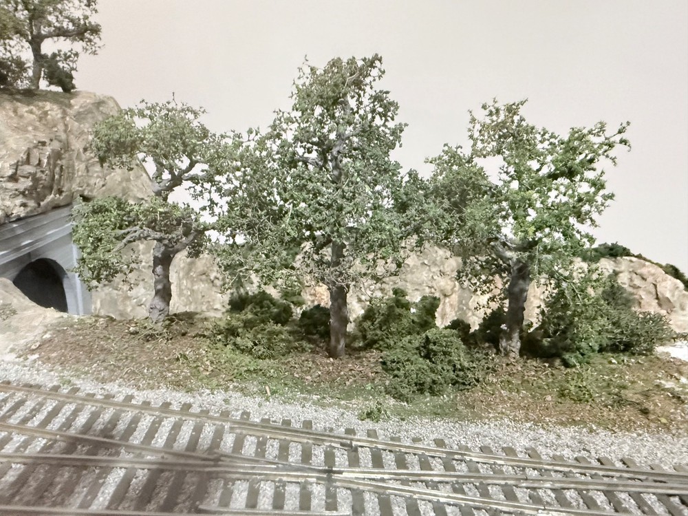 Two Model Railroad Scenery Diorama & Foreground Quality Trees