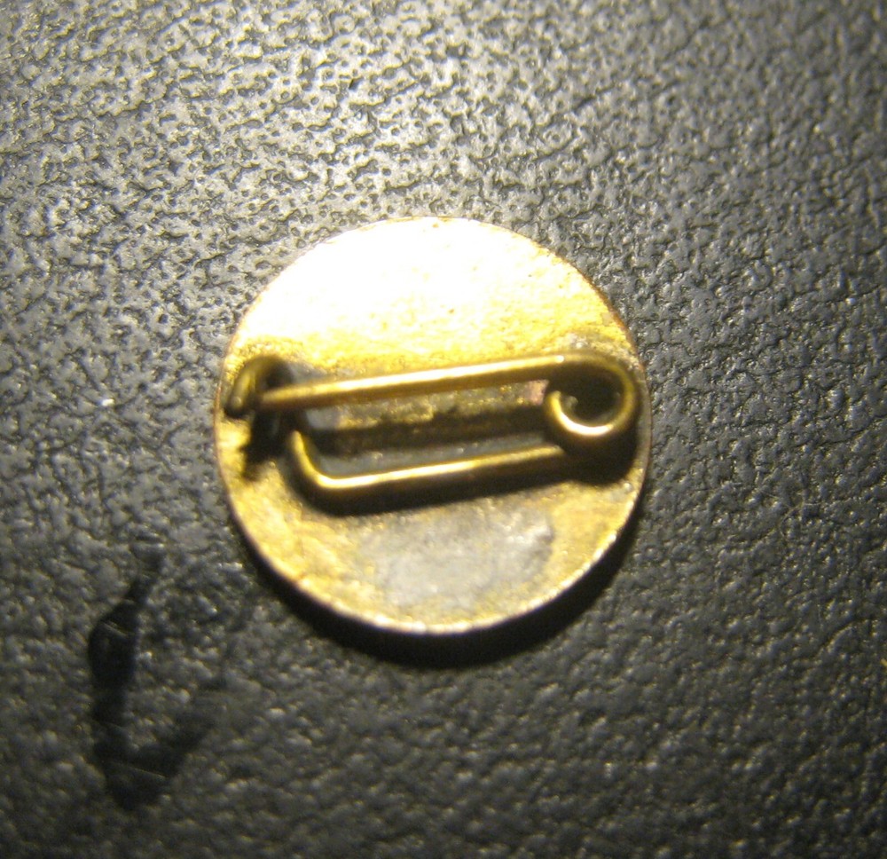 VINTAGE RED CROSS REGULAR OFFICIAL PIN