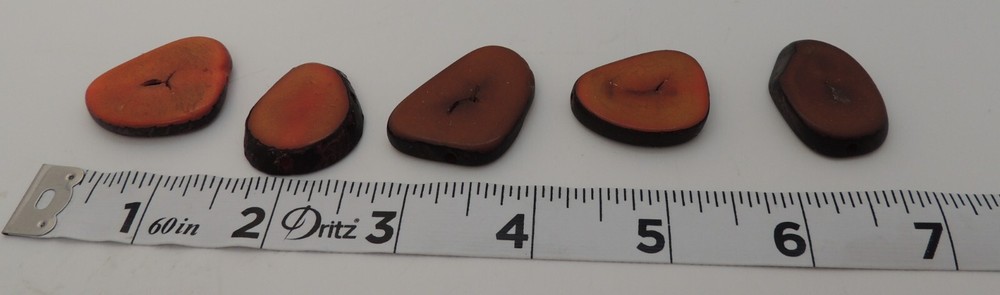 Vintage Tagua Nut Slices