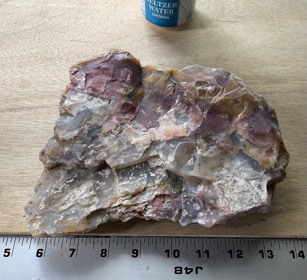 Petrified Wood Collection