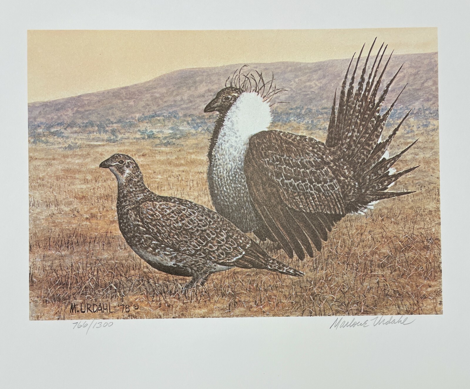 1978 MONTANA - State Duck & Bird Print - Sage Grouse - ARTIST SIGNED STAMP