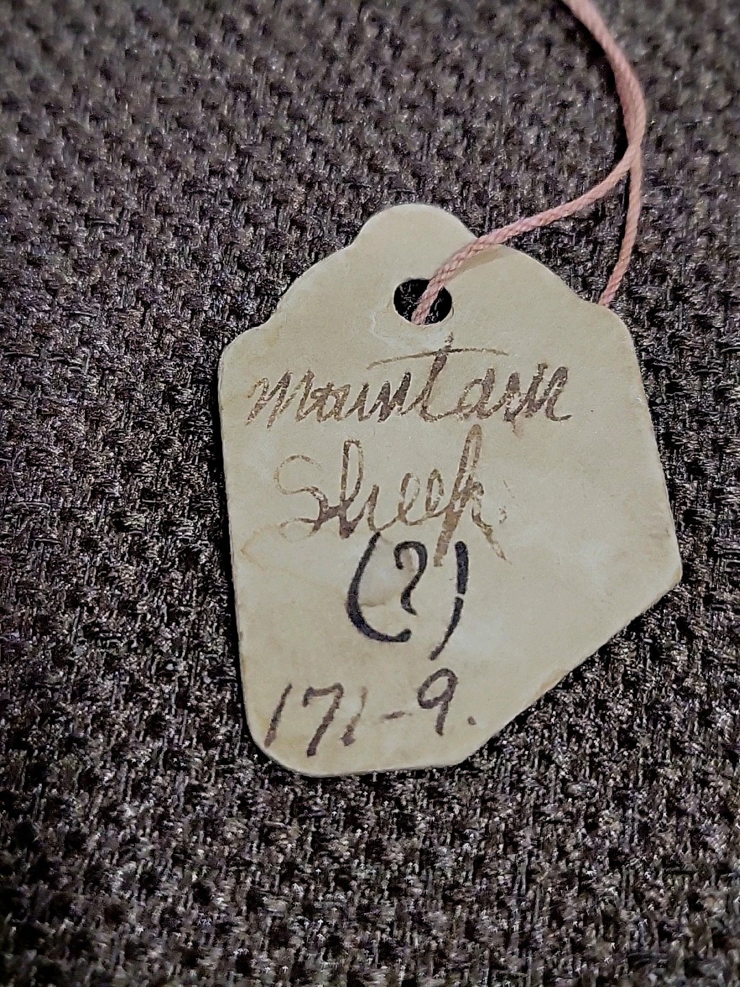 (2) Ahousaht Northwest Indian Inuit West Vancouver Canada B.C. Sheep Horn Spoons