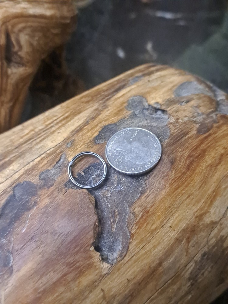 Small 16mm Accessory Titanium Sidepush Keyring