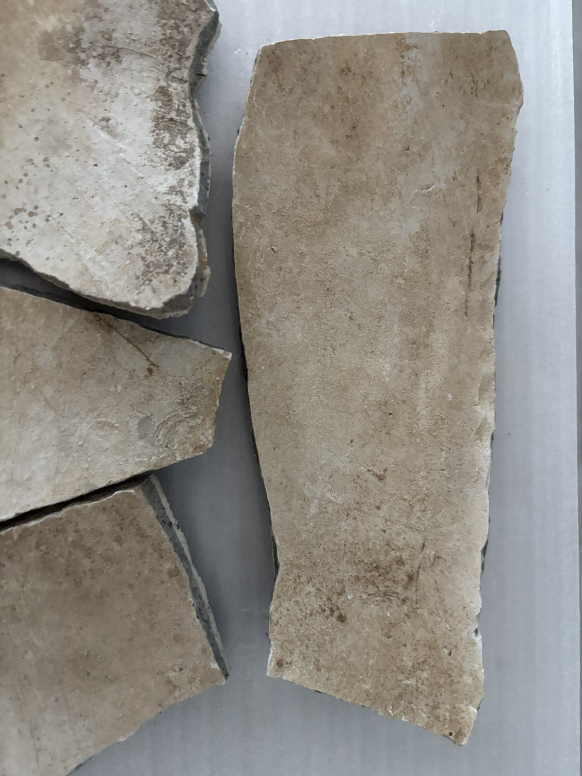 4 Ancient Anasazi Native American Pottery Shards 4” - 6” Arizona L5-G FREE SHIP