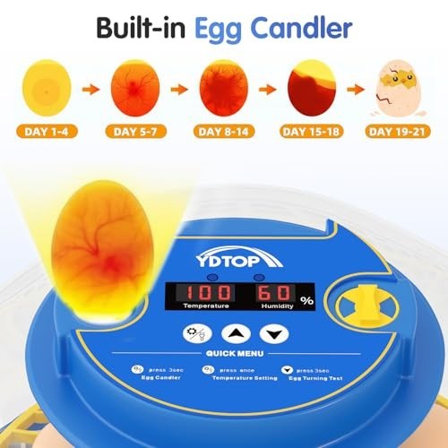 12 Egg Incubator for Hatching - Automatic Turning, Humidity Control, 360° View,