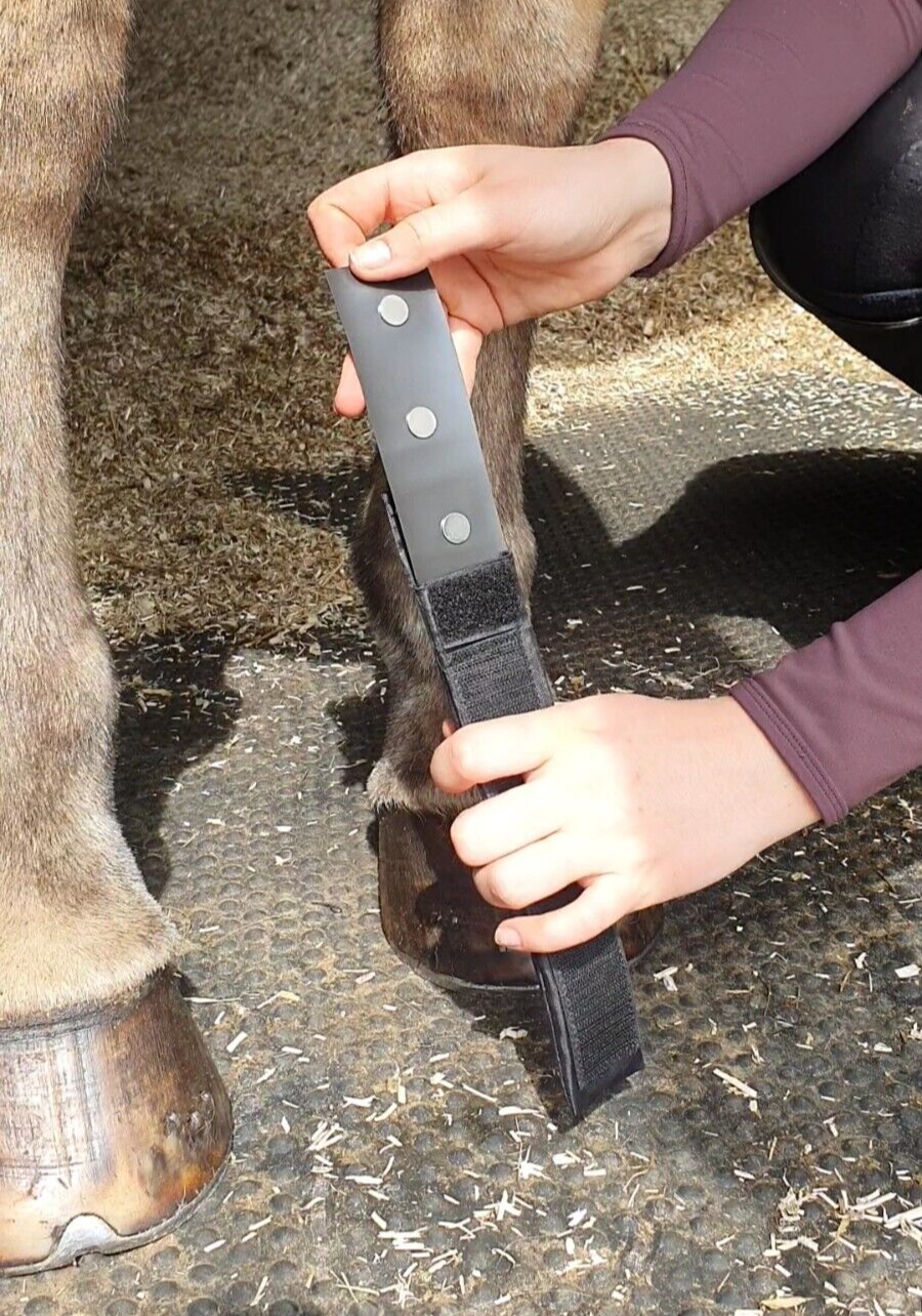 Magnetic Therapy Pastern Wraps Leg Bands for Horses and Ponies