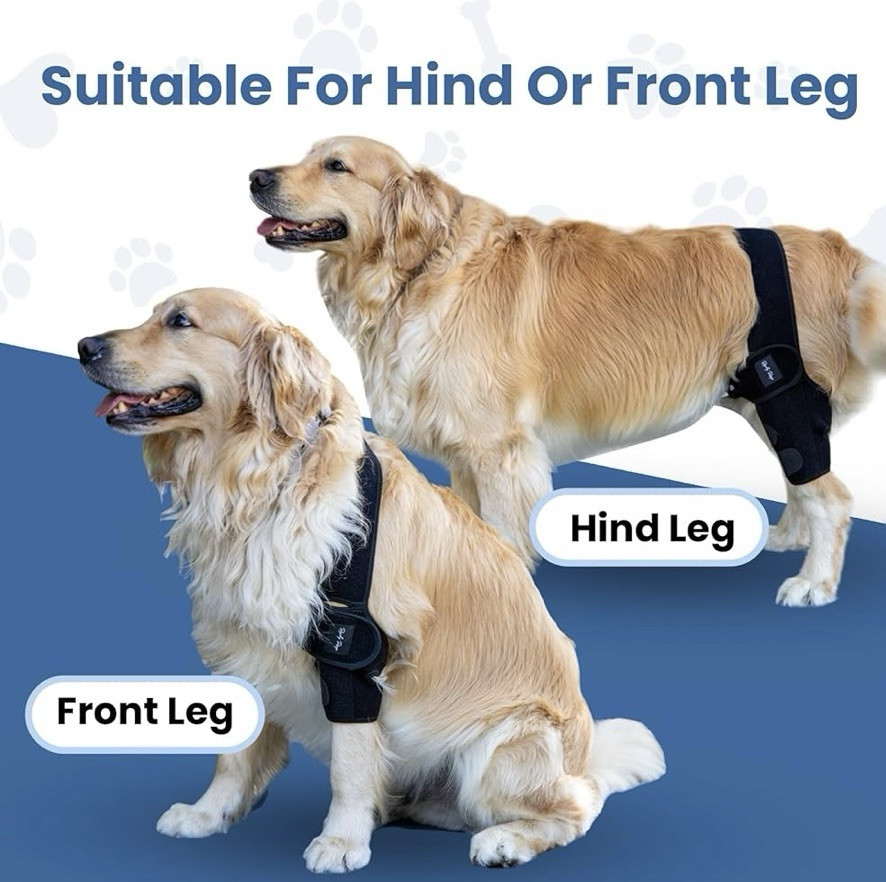 New! Rocky Rays Dog Knee Brace!