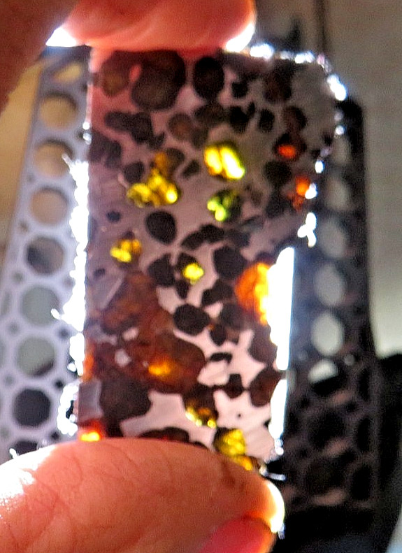 30 gm SERICHO pallasite Meteorite slice translucent from Kenya std olivine JAL