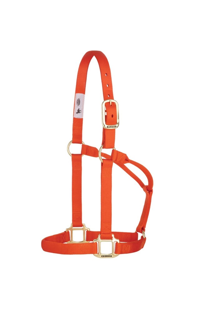 Original Non-Adjustable Halter , 1"  Orange