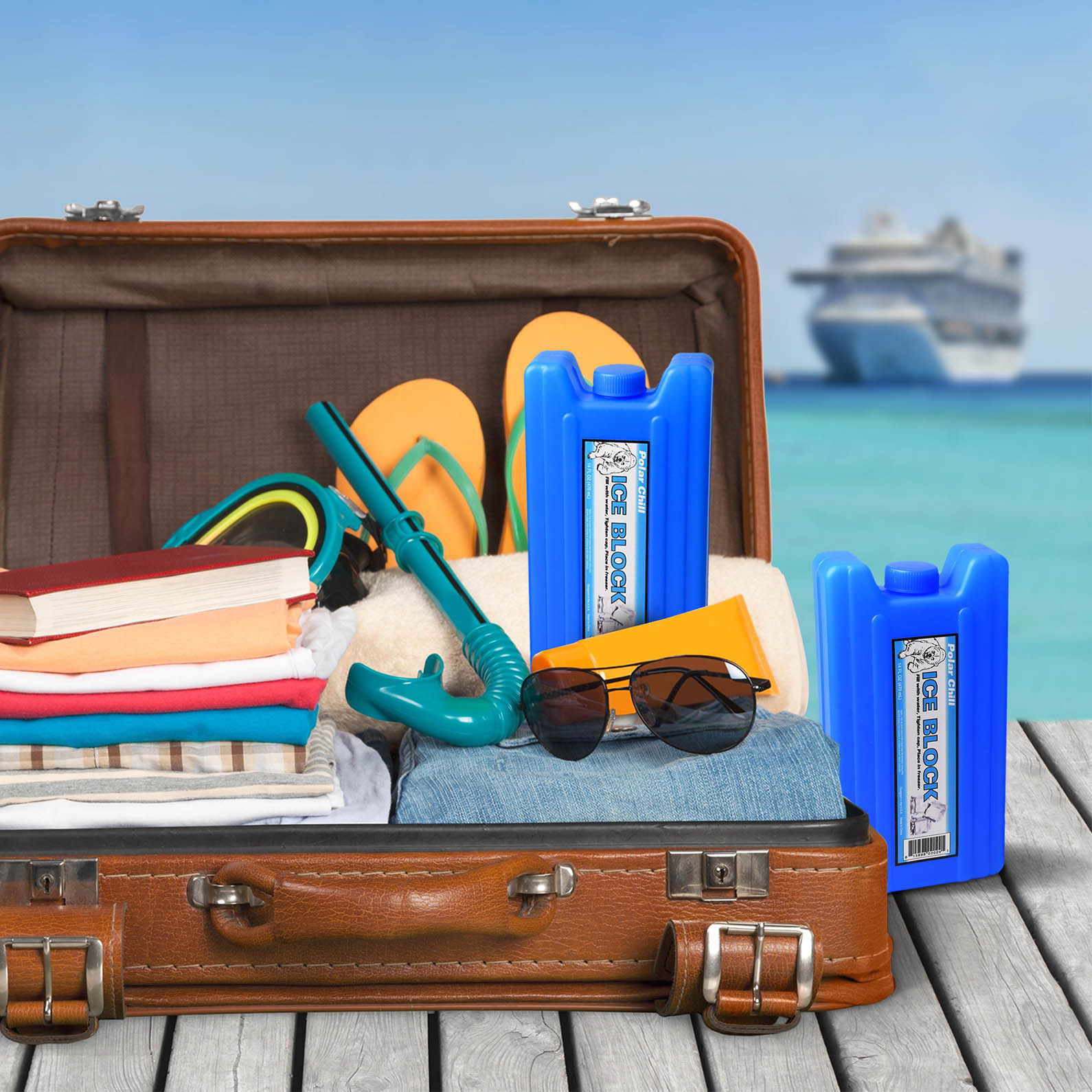 GoPong Ice Pack Flask (2-Pack) - Sneak Alcohol Anywhere!!