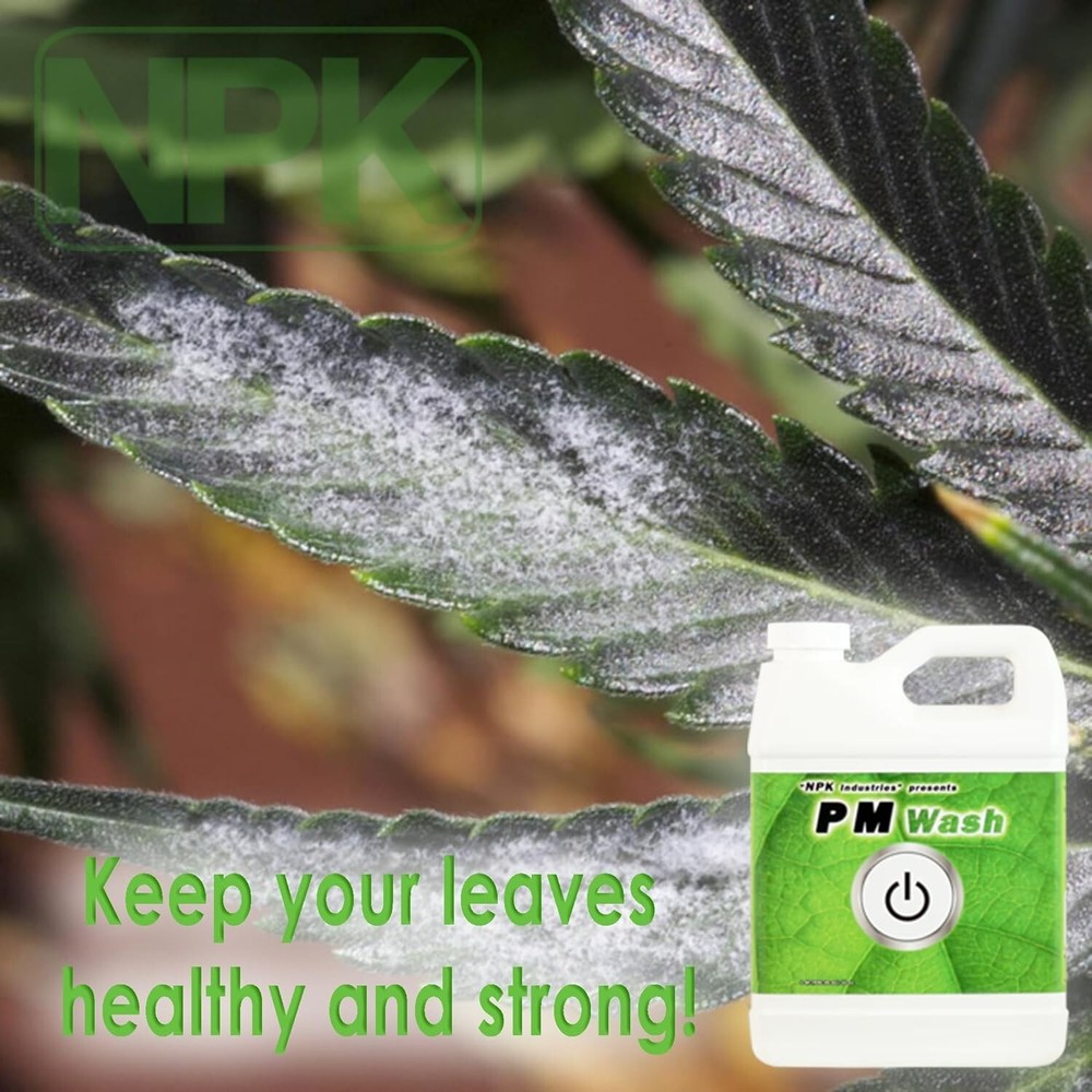 NPK PM Wash 1 Gallon