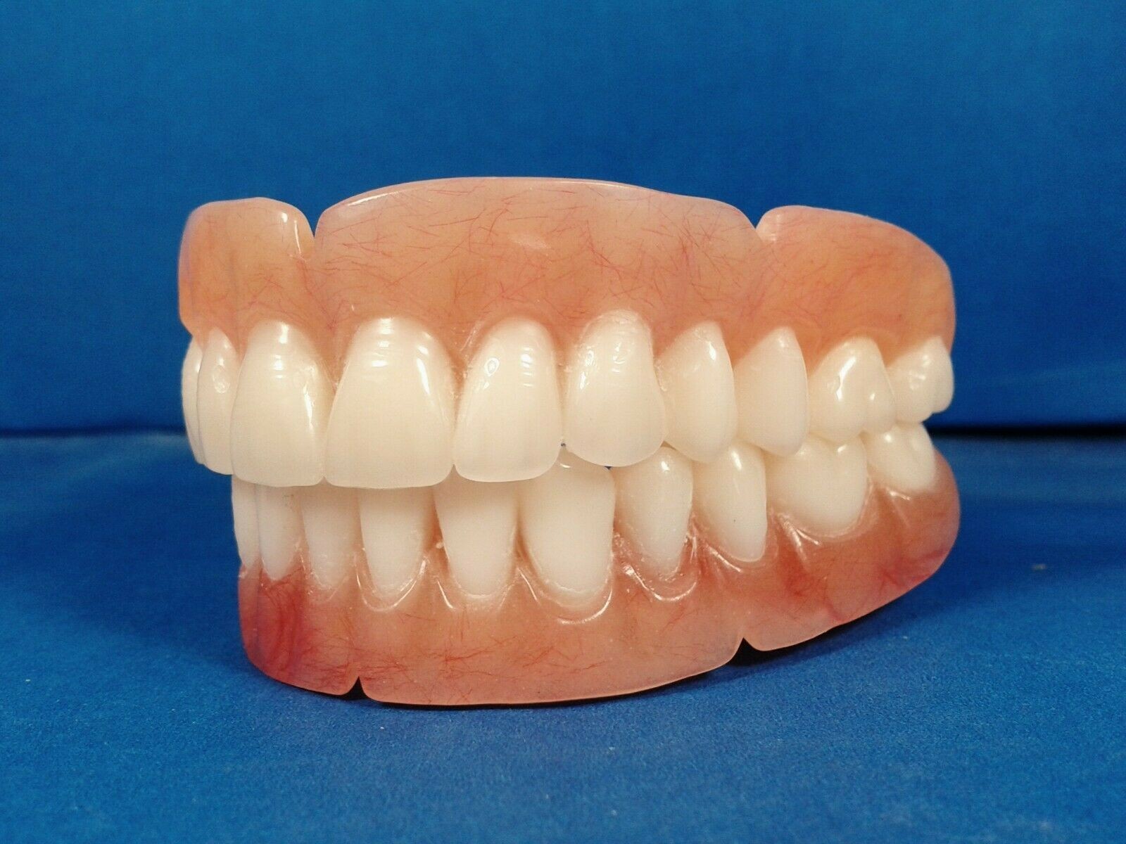Dentures, set of false teeth with Hollywood bleach shade teeth