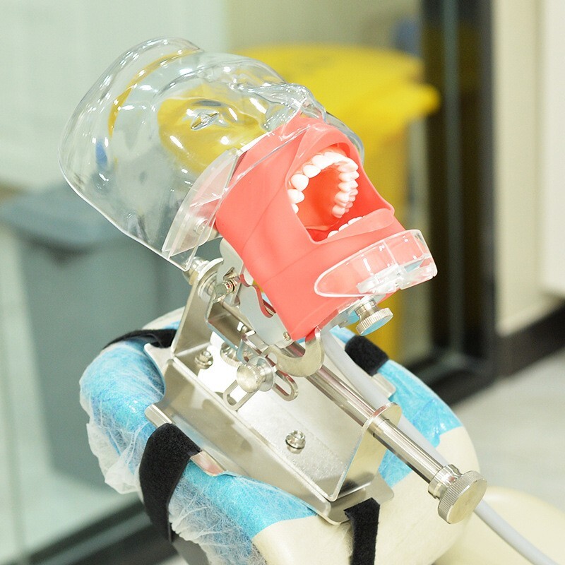 Dental Simulator Phantom Head Model Dental Preparation Support Display