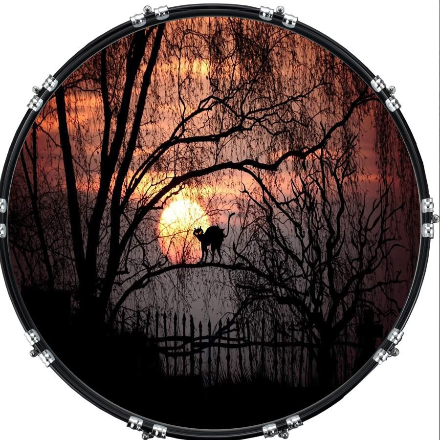 20" Custom Bass Kick Drum Front Head Graphical Graphic Moon Cat
