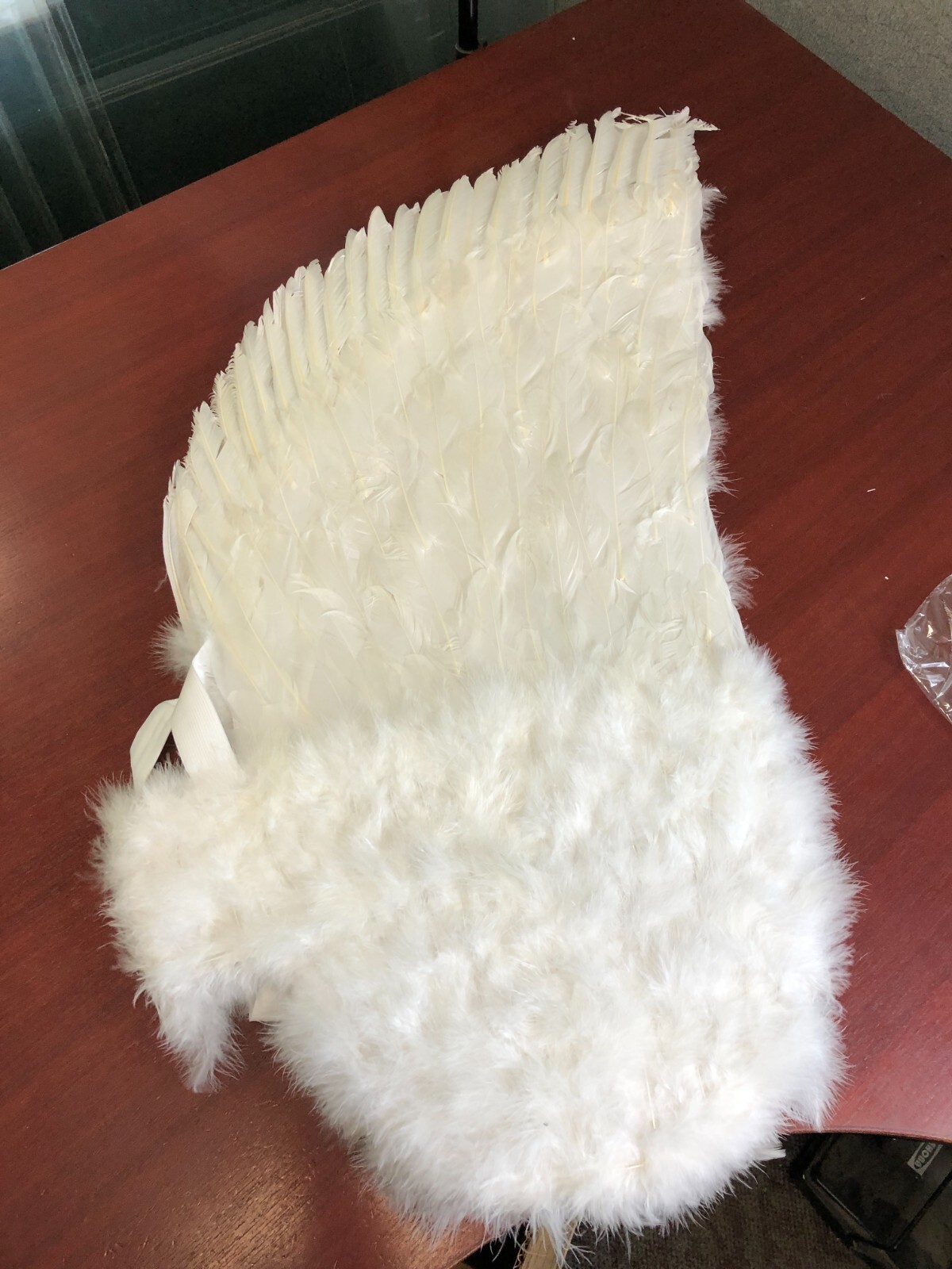 Touch of Nature White Adult Angel Wings - 52" by 36" w/ halo