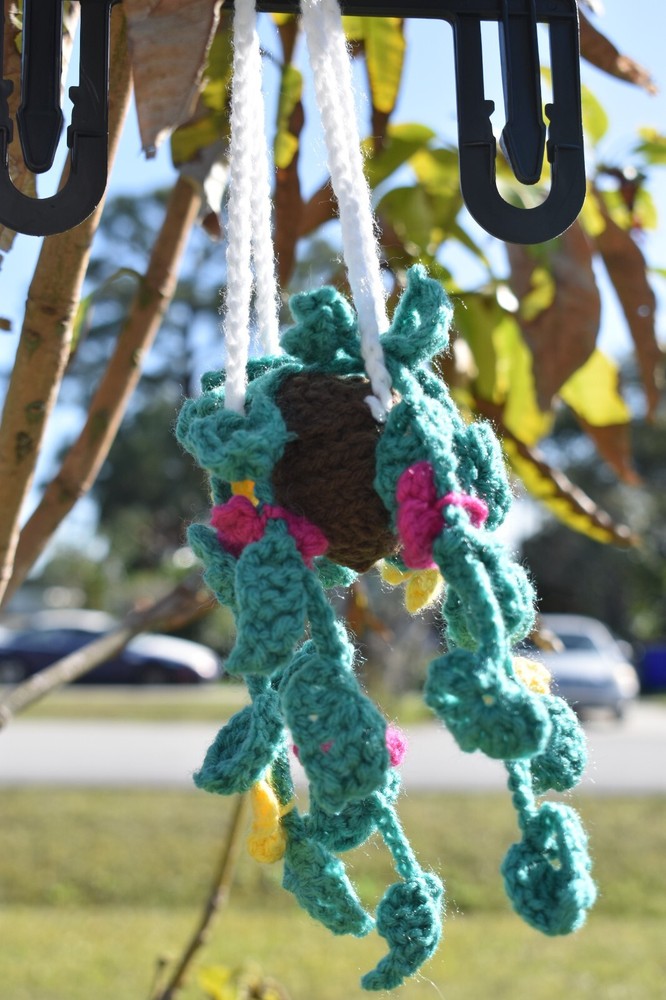 Hanging Crochet Plant