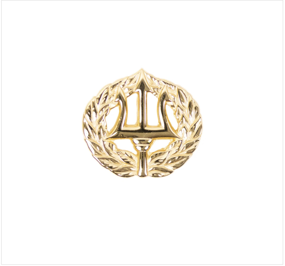 GENUINE U.S. NAVY BADGE: COMMAND ASHORE - MINIATURE, MIRROR FINISH