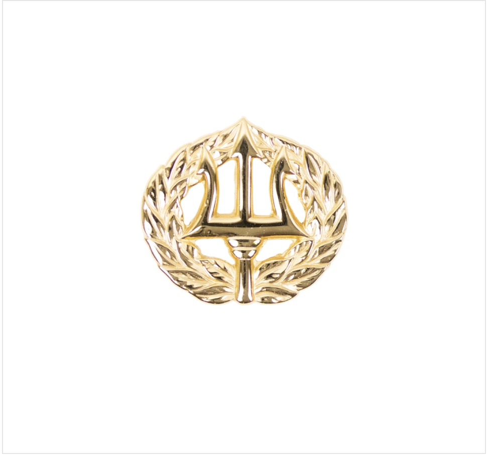 GENUINE U.S. NAVY BADGE: COMMAND ASHORE - MINIATURE, MIRROR FINISH