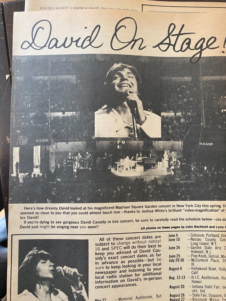 David Cassidy, Two Page Vintage Clipping, aa