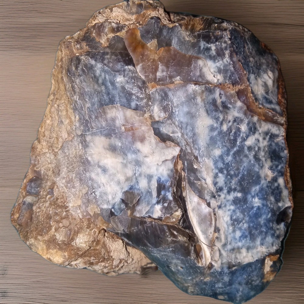 Dark Opalized Petrified Wood Rough 2 lbs