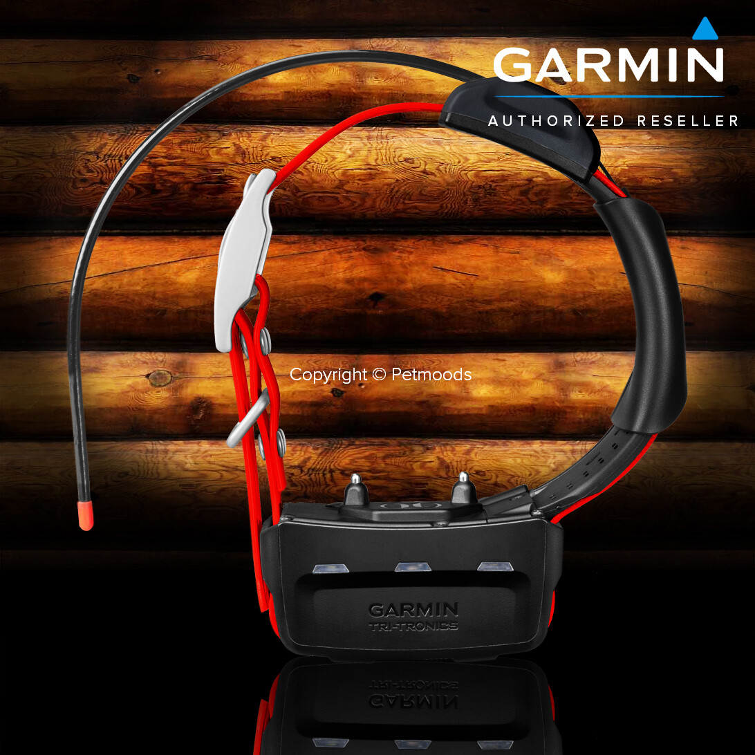 Garmin TT15X Dog Device GPS Tracking Training Collar 010-02755-80