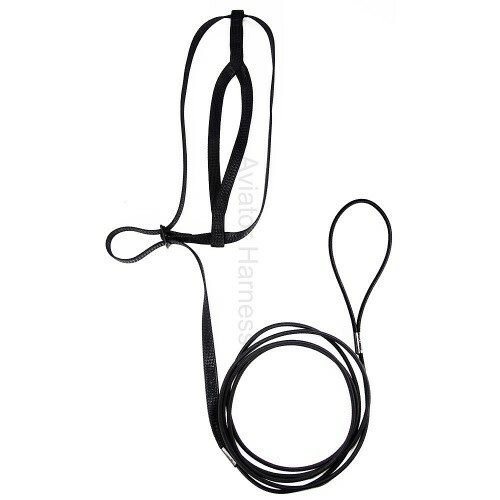 THE AVIATOR PARROT HARNESS & LEASH - MEDIUM - RED