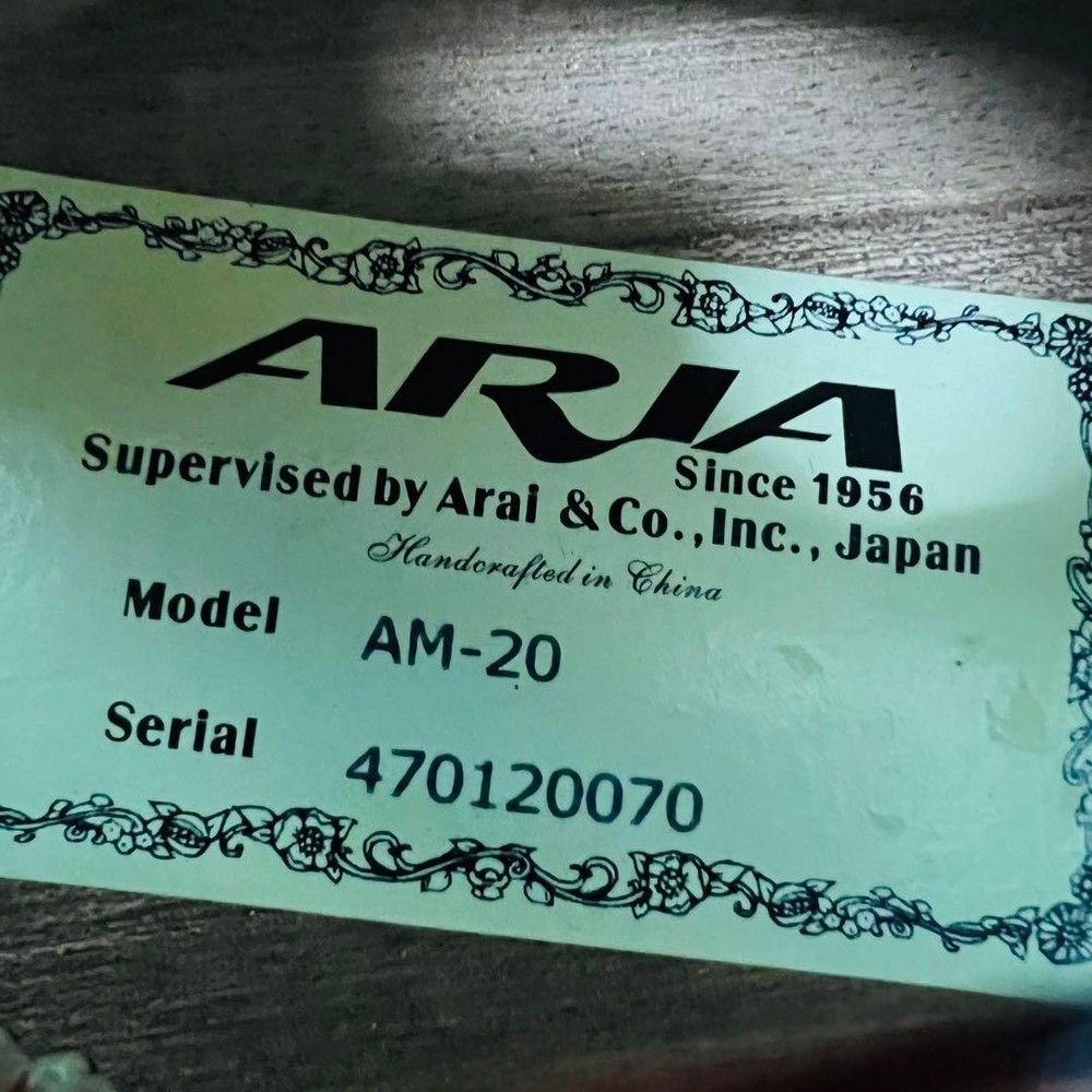 ARIA AM-20 Mandolin 8 string with hard case