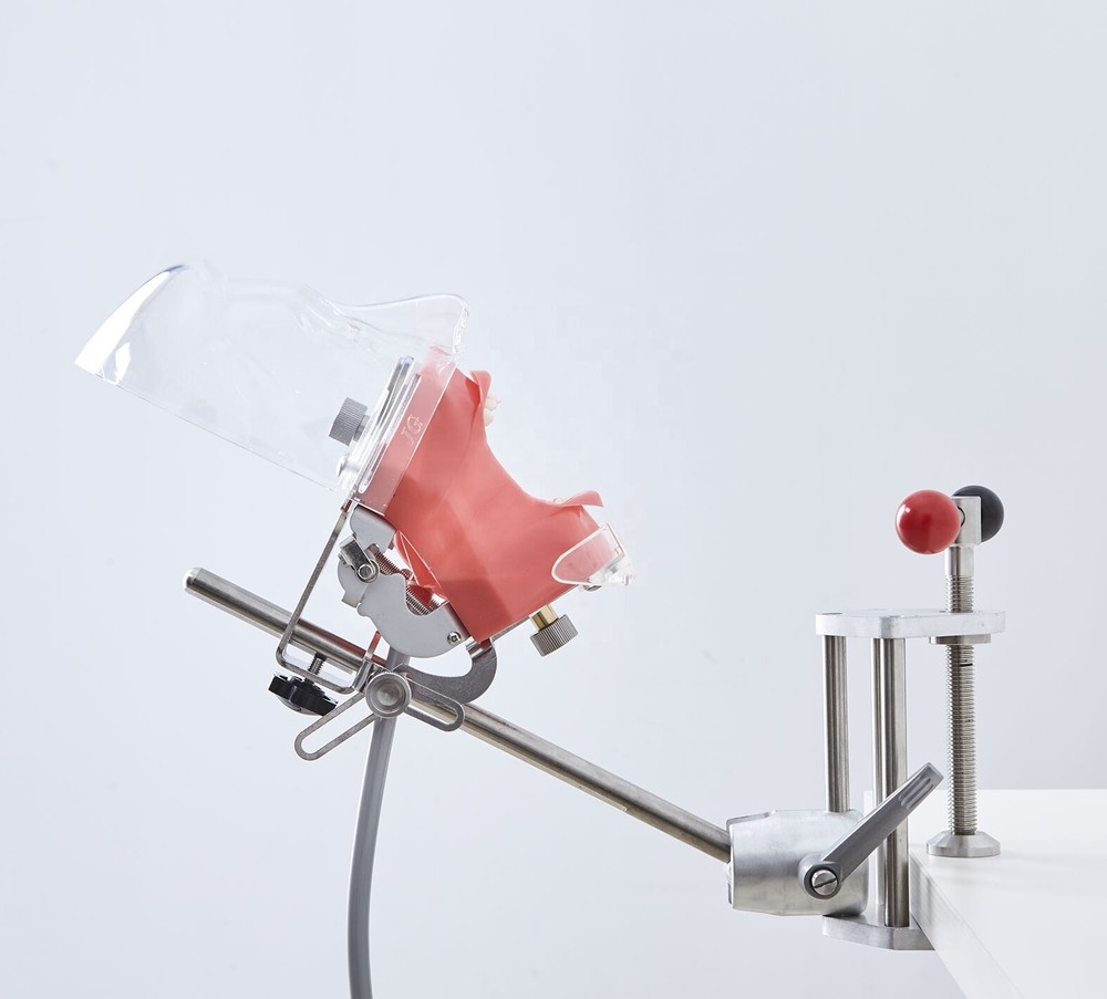 Dental Manual Manikin Simulator Phantom Head Model for Dentist Training Practice