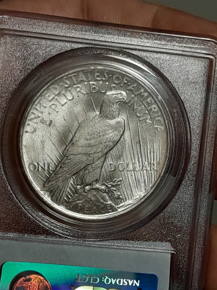 1922 Peace Silver Dollar MS64 PCGS