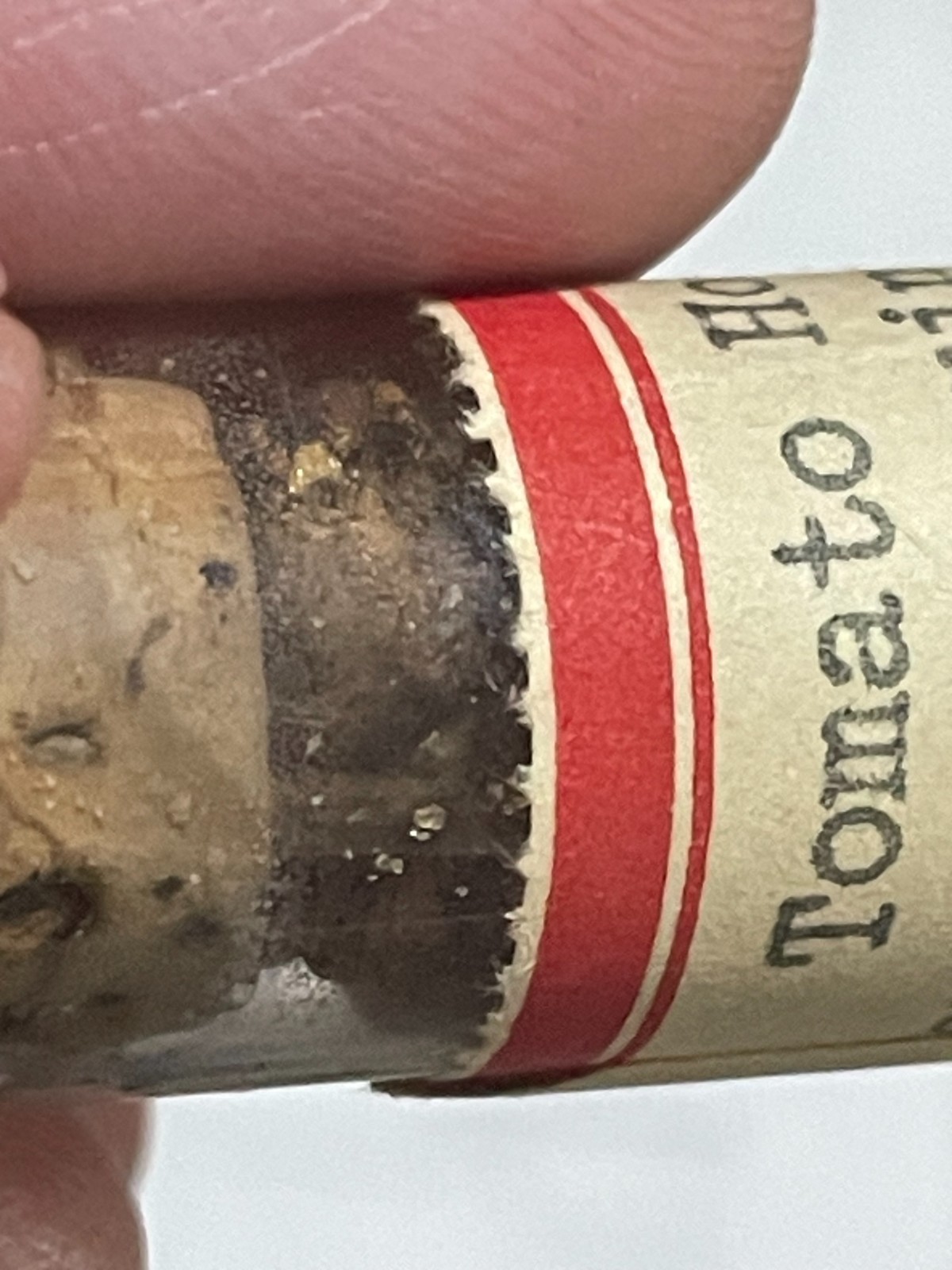 Entomology Slides Microscope Biology Insects With Box 1950's