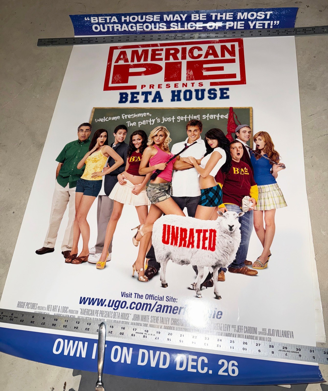 American Pie 2007 Beta House original movie dvd poster 5/10