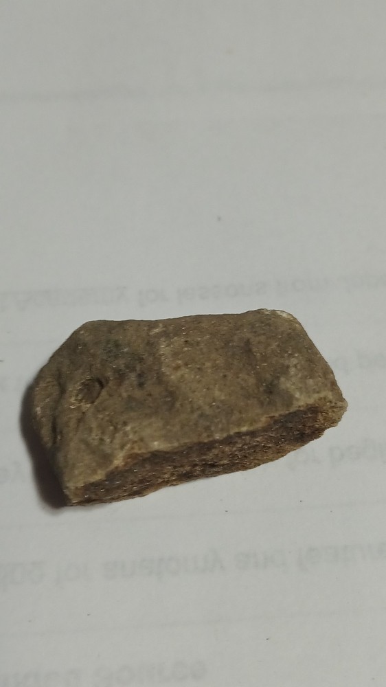 Fossilized Mammal Bone Fragment
