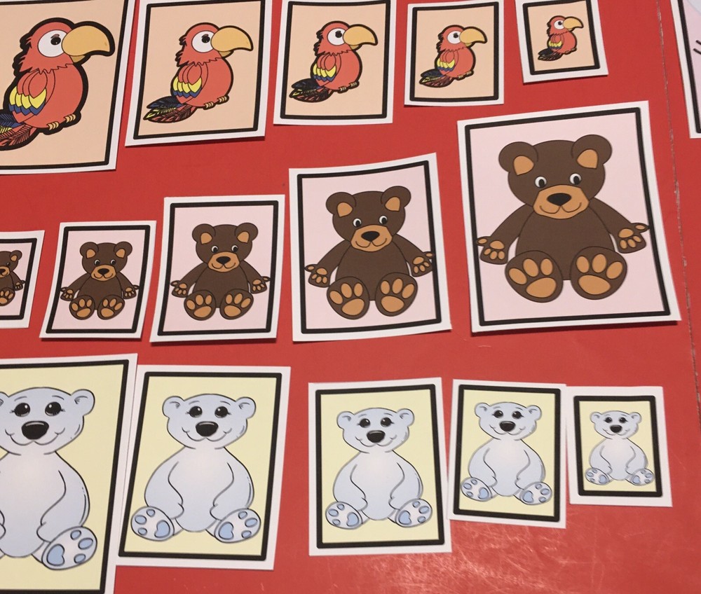 Laminated Sorting Cards - Size Sorting - 40 Cards Set