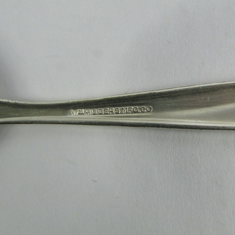 Wm Rogers International Silver Autumn Silverplate 1957 Serving Spoon Flatware