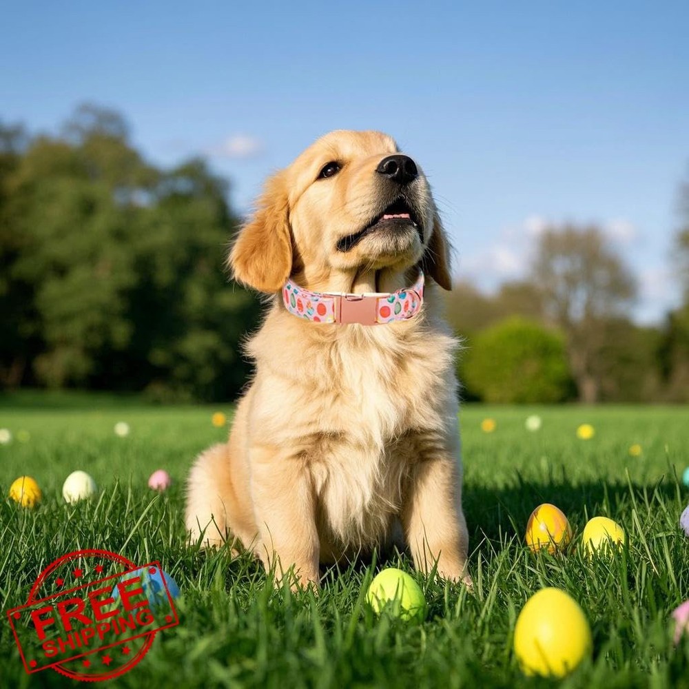 Maca Bates Easter Day Dog Collar Easter Egg Dogs Collars Breakaway Soft Durab...