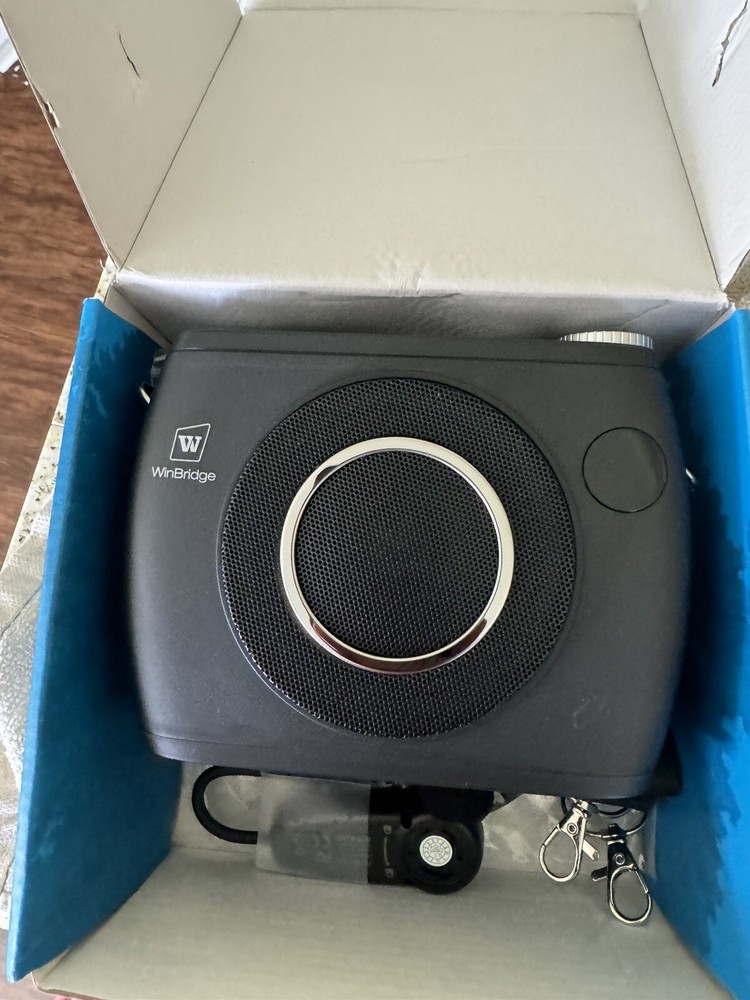 W WINBRIDGE 25W Bluetooth Voice Amplifier with Two Wireless Headset Microphones