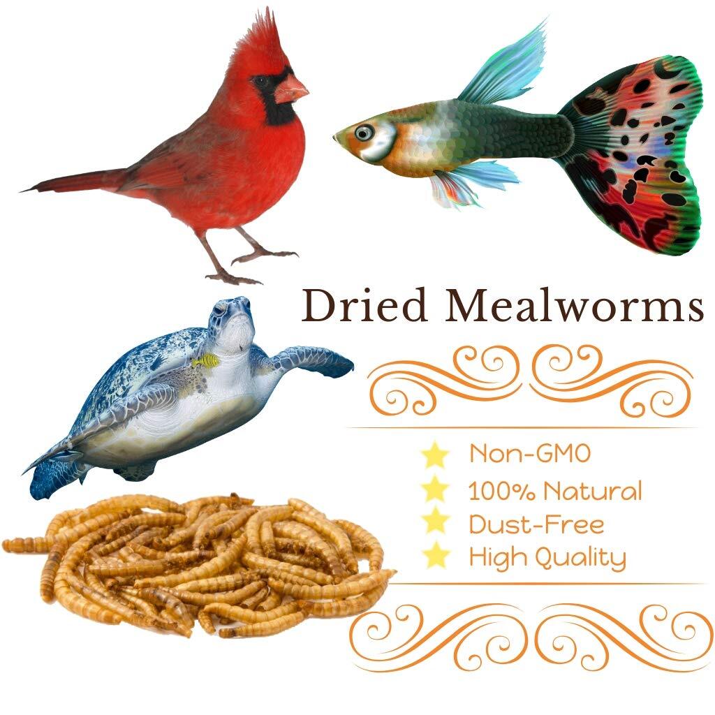 22LB Dried Mealworms Bulk Non-GMO Organic for Wild Blue Bird Chickens Hen Treats