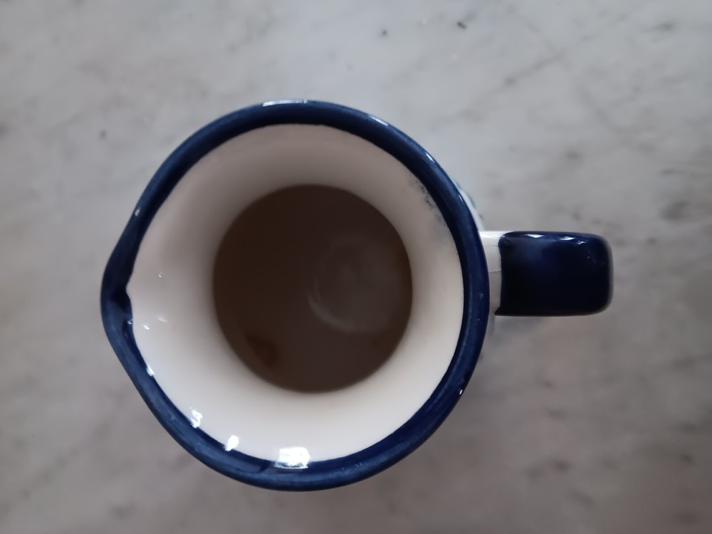 Hemanos Pedraza Spain Blue & White Handpainted Pitcher 6"