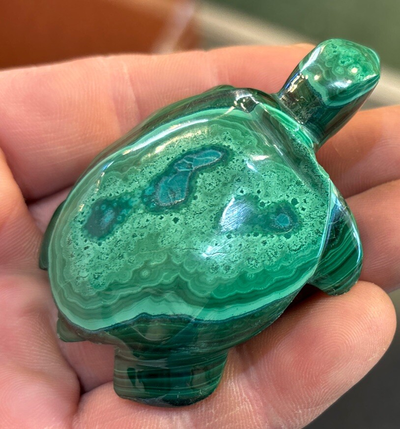 2” Malachite Turtle