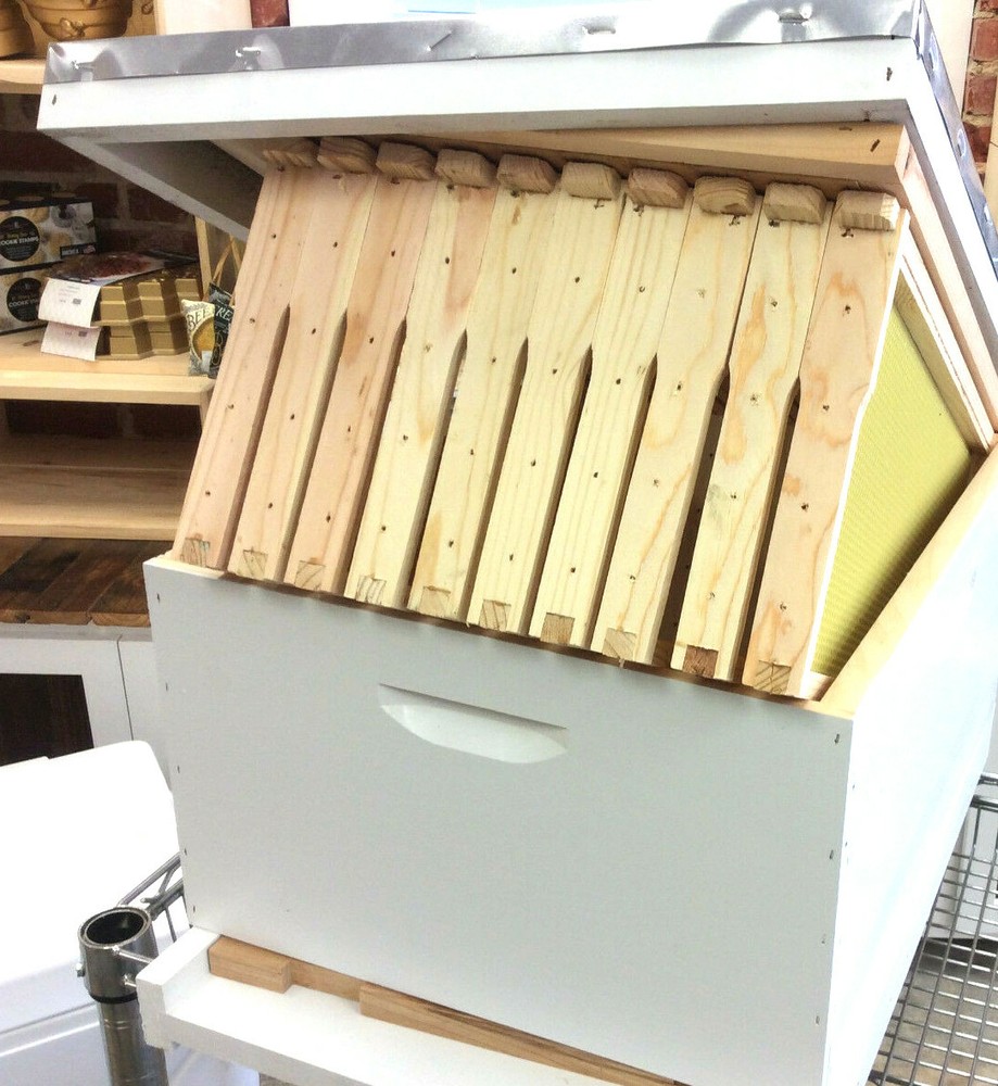 Fully assembled and Painted 10 Frame Hive w solid Bottom Board, Assembled Frames