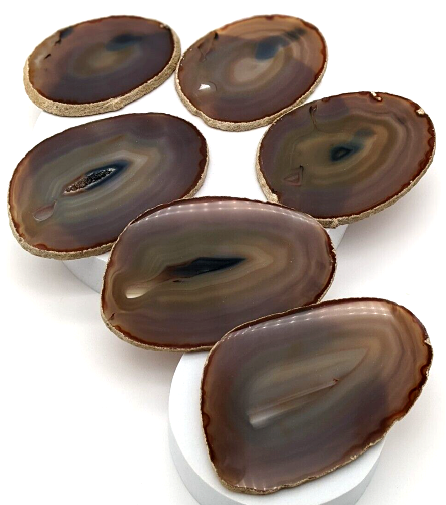 Six Polished Agate Slices Coasters Quartz Mineral Translucent