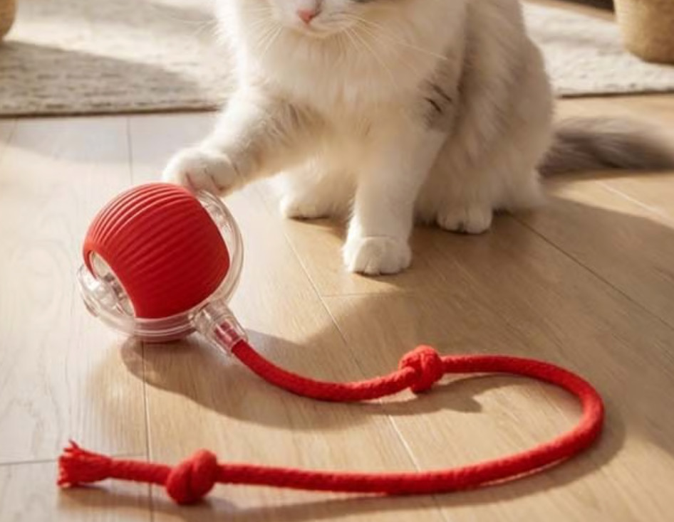 P02 Interactive Blinking LED Cat Toy Ball, Multi-Mode, Red