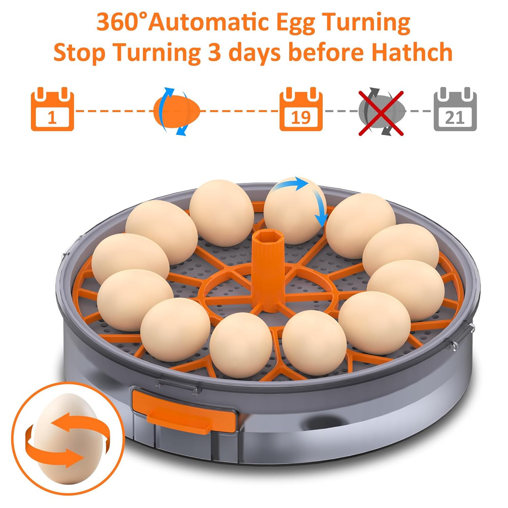 12 Egg Incubator with Automatic Egg Turning and Humidity Control, Intelligent Eg