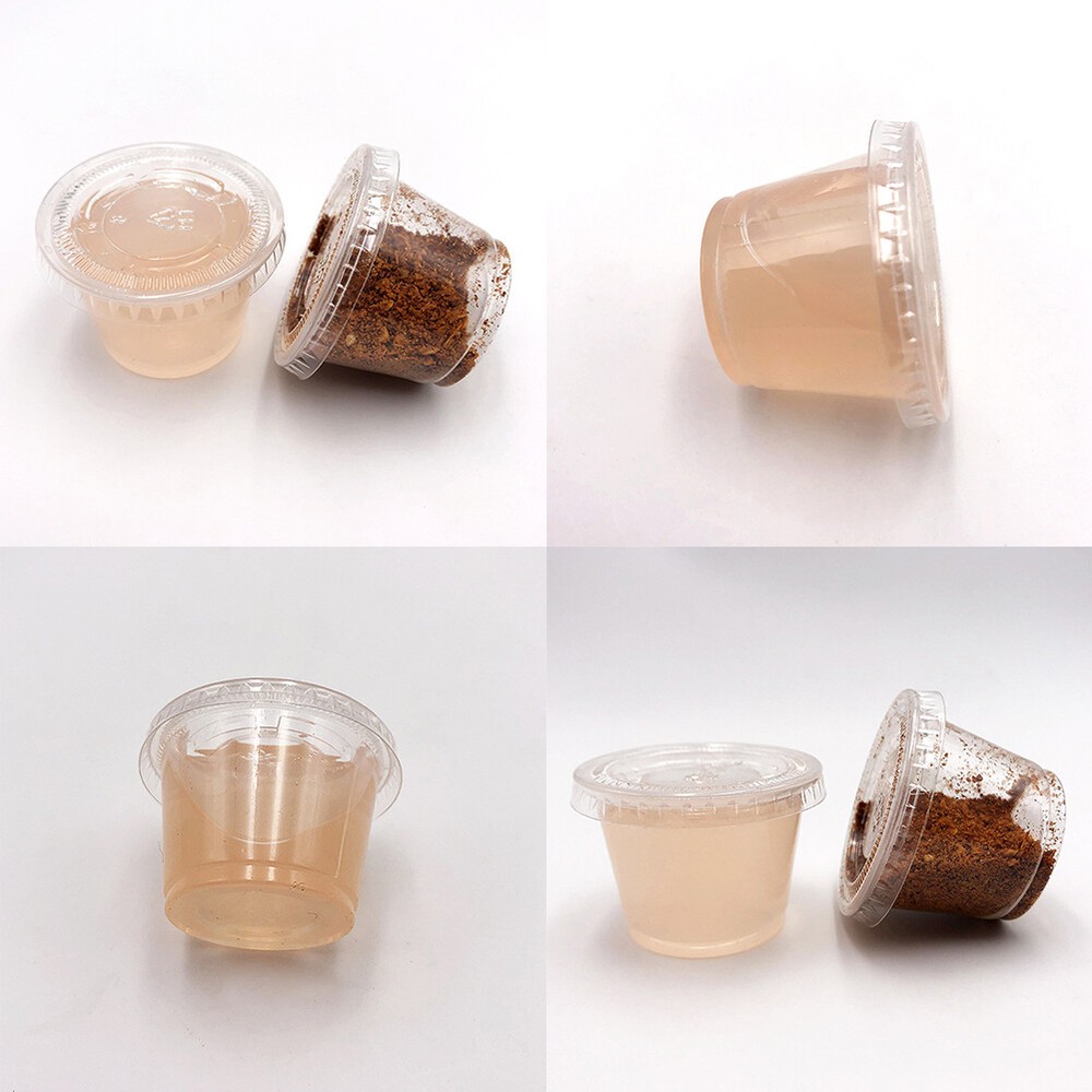 US 500 Pack Disposable 1 Oz Portion Cups with Lids for Sample Tasting Sauces