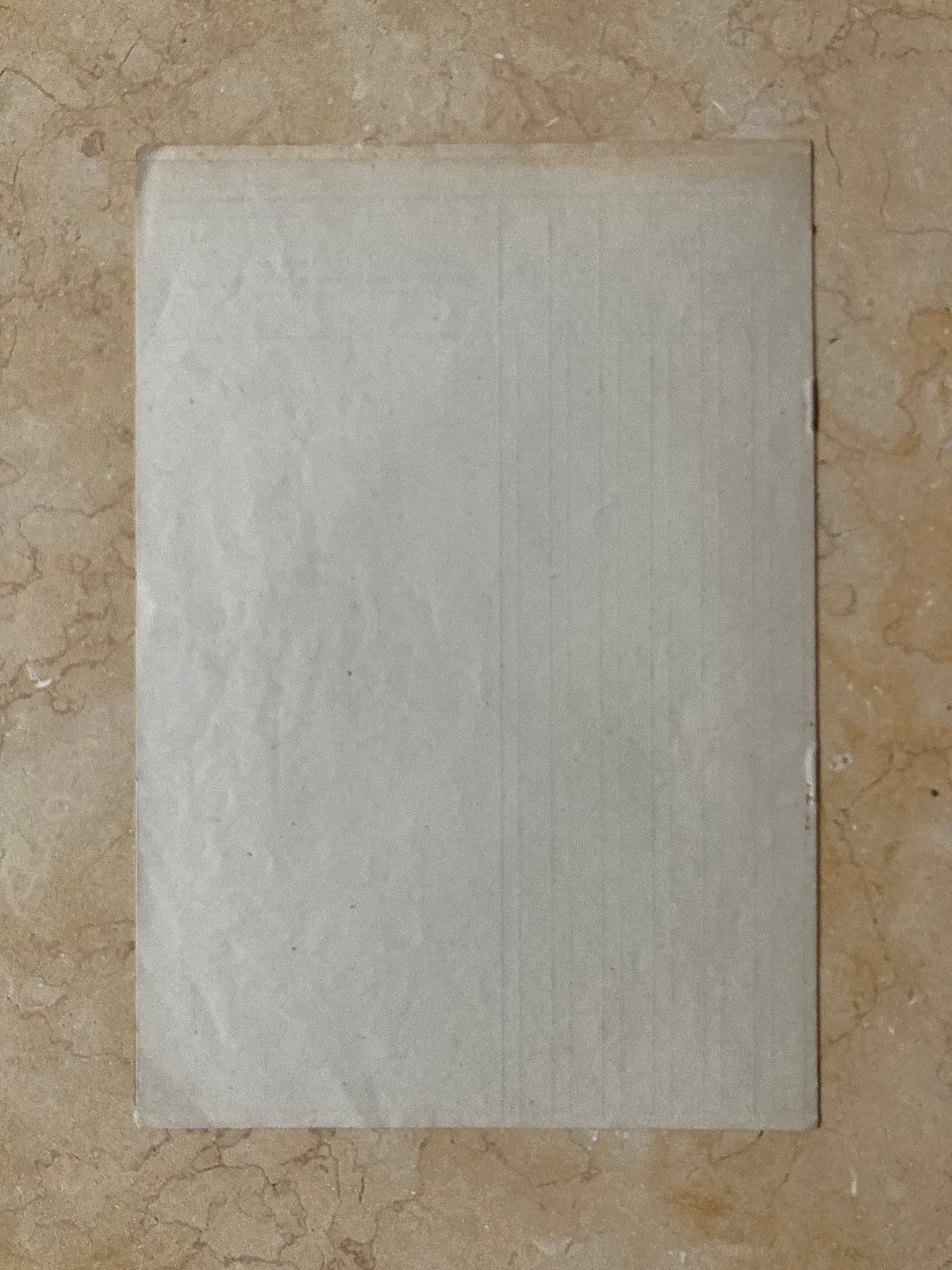 WW2 GERMAN PROTECTION SQUADRON + SECURITY SERVICE of DUTCH OCC. TERR. FORM 1944