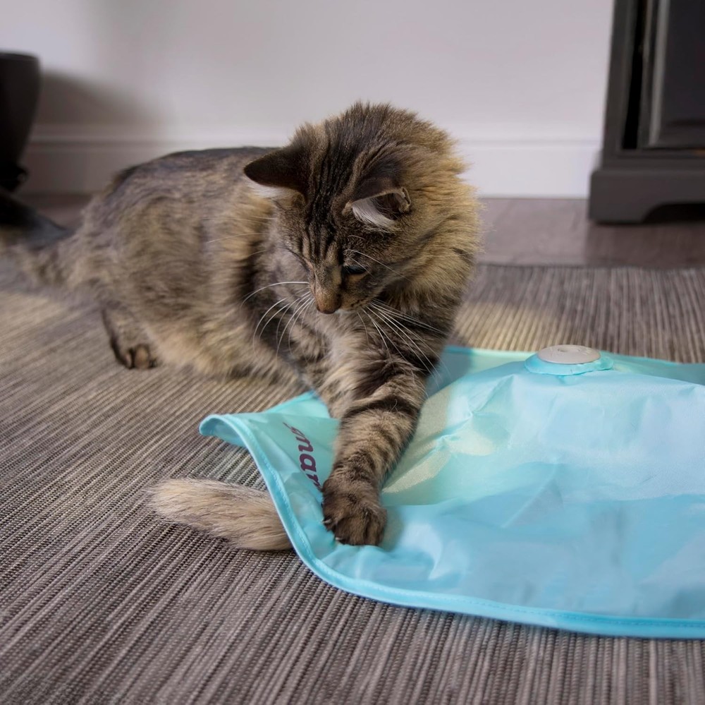 Interactive Electronic Motion Toy for Cats - A Fun Indoor Exercise Experience
