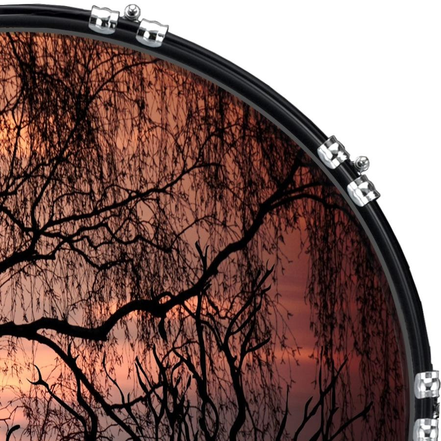 20" Custom Bass Kick Drum Front Head Graphical Graphic Moon Cat