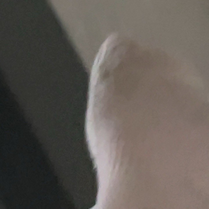 Feet